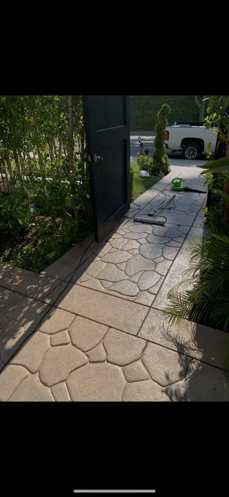 Reliable yard maintenance in Los Angeles, CA - Timbermen Tree service & Landcaping