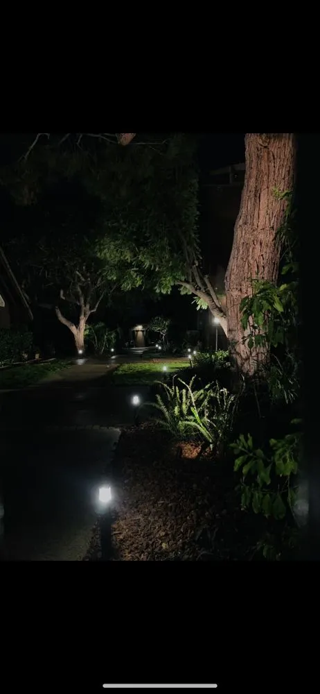 Affordable lawn care service near you in Los Angeles, CA by Timbermen Tree service & Landcaping