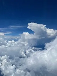 Professional landscaping services in Upper Marlboro, MD by Timbermen Yards & Moving