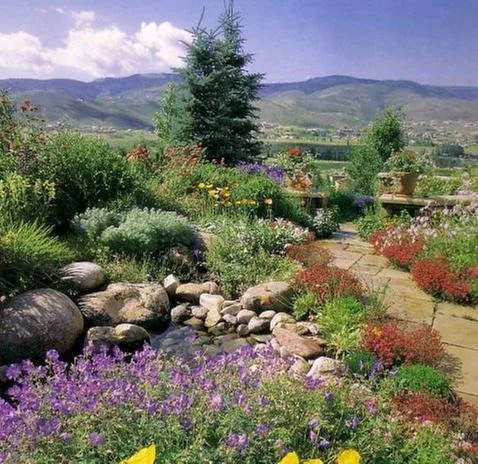 Custom yard cleanup service for year-round maintenance across Windsor, CO - TimberRock Landscape Center