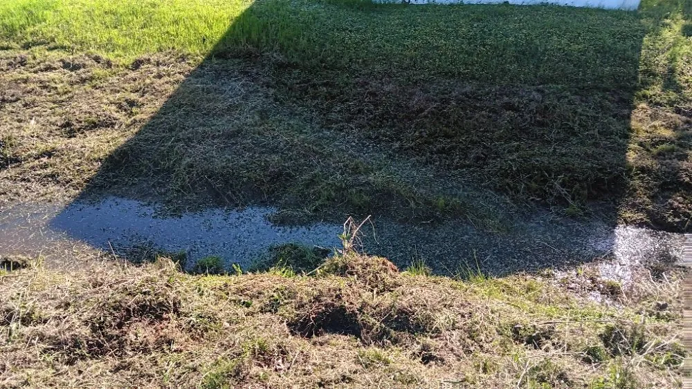 Top-rated lawn care service in Phenix City, AL by Timbers Landscaping and More