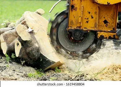 Custom lawn mowing service in Kalispell, MT - Timbers Tree Services