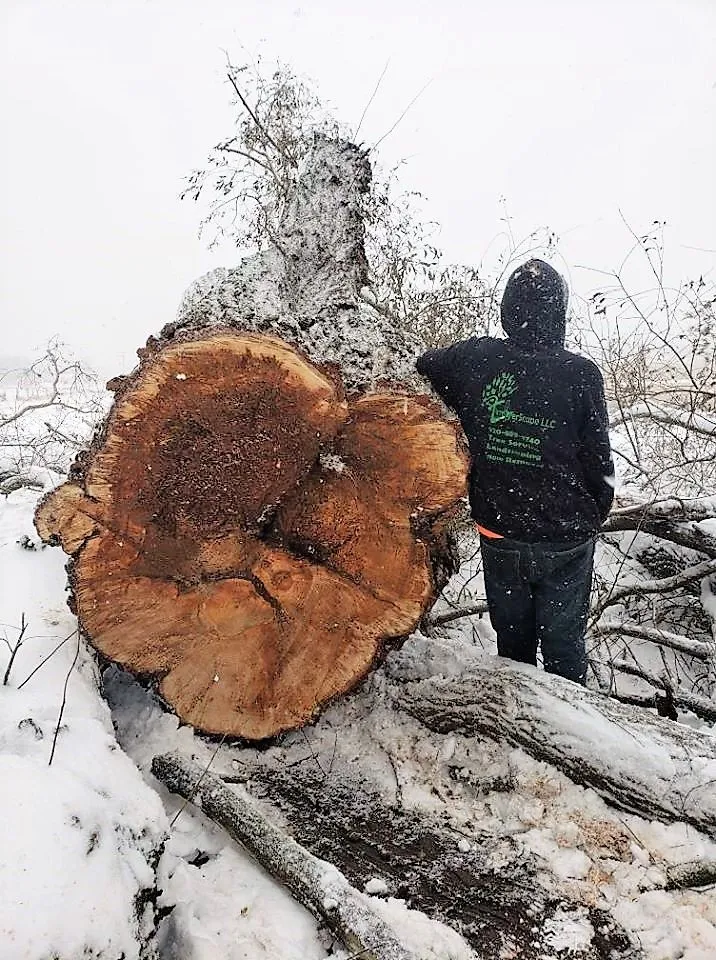 Trusted residential landscaping near you across Random Lake, WI - TimberScape