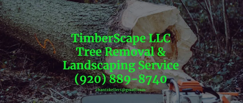 Top-rated lawn mowing service experts serving Random Lake, WI - TimberScape