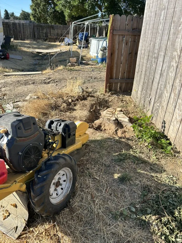 Custom landscape installation for residential properties across Sacramento, CA - Timberway Stump Removal and Tree Service