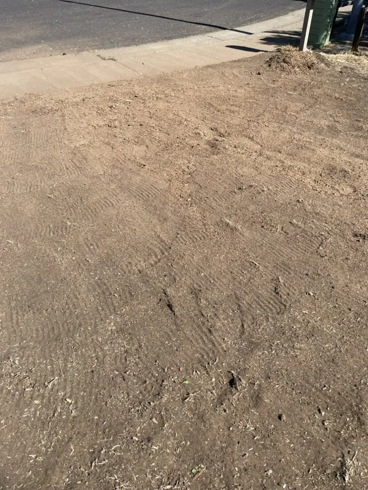 Affordable lawn mowing service in Sacramento, CA by Timberway Stump Removal and Tree Service