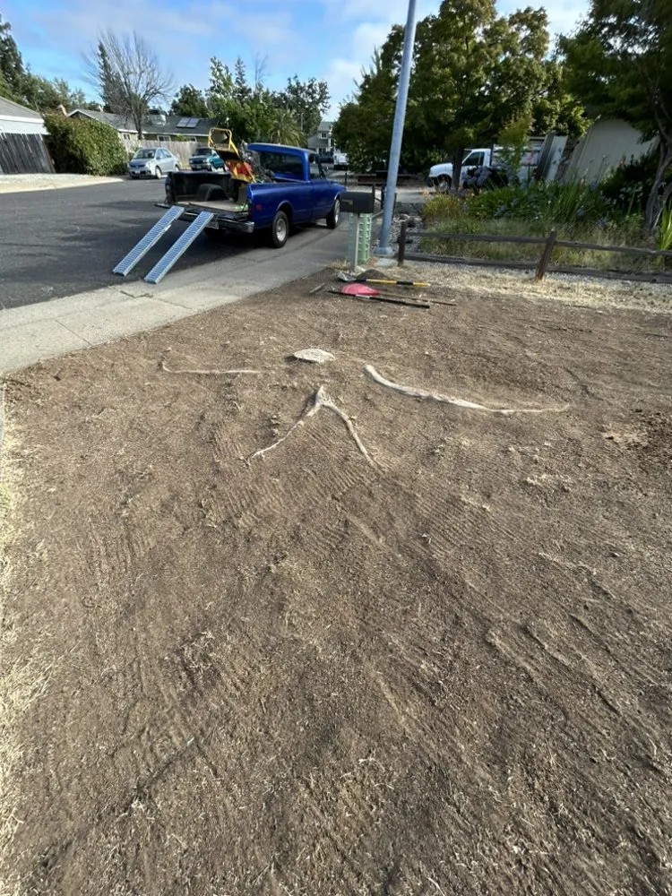 Professional landscape installation in Sacramento, CA by Timberway Stump Removal and Tree Service