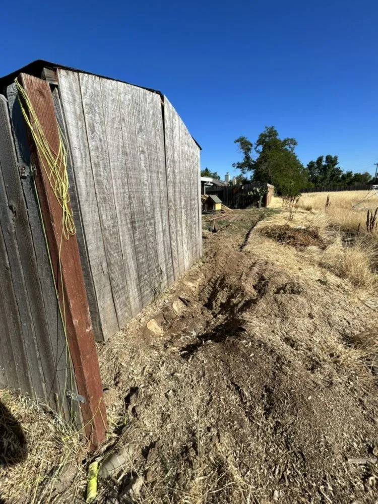 Affordable yard maintenance in Sacramento, CA by Timberway Stump Removal and Tree Service