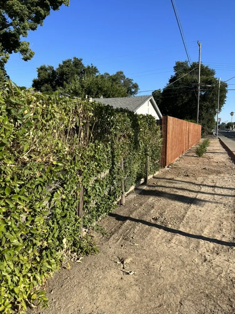 Affordable lawn mowing service with custom design across Sacramento, CA - Timberway Stump Removal and Tree Service