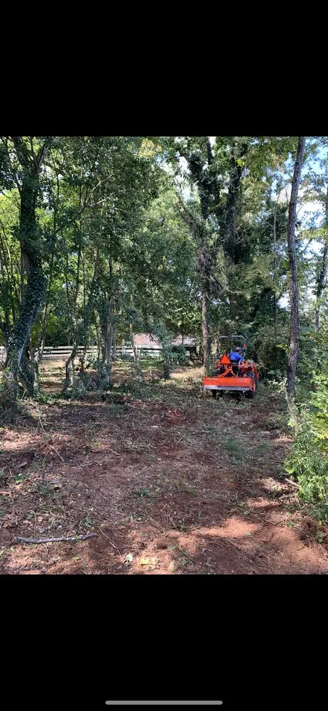 Professional landscaping services in Saint Matthews, SC - TimberWolfe Outdoors