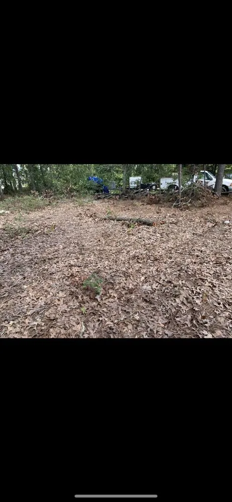 Local landscape installation in Saint Matthews, SC - TimberWolfe Outdoors