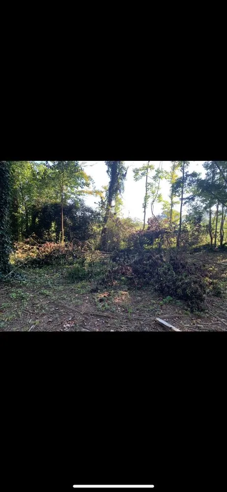 Affordable landscaping services near you across Saint Matthews, SC - TimberWolfe Outdoors