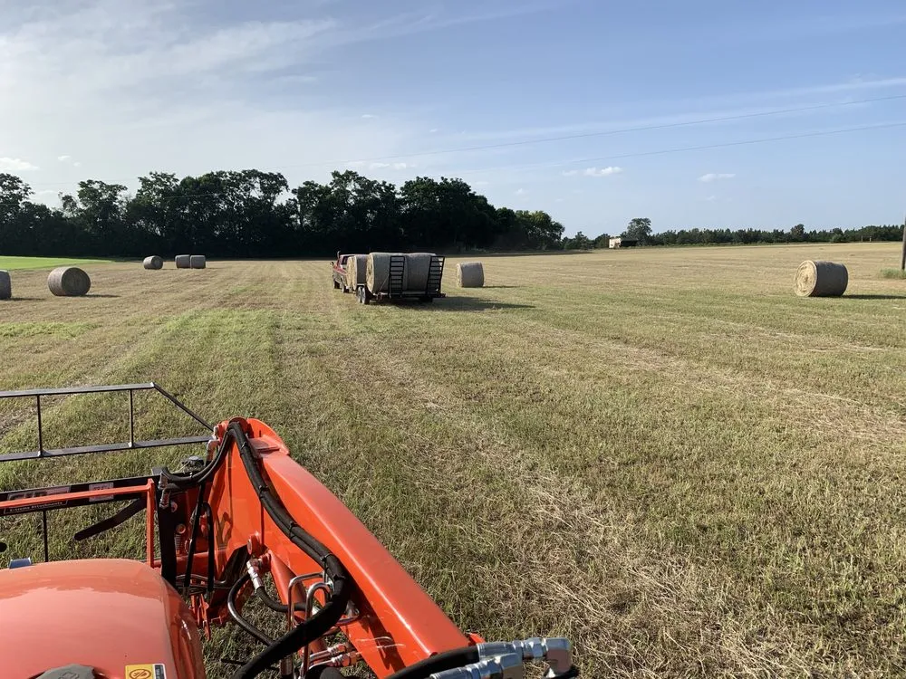 Professional yard maintenance experts serving Saint Matthews, SC - TimberWolfe Outdoors