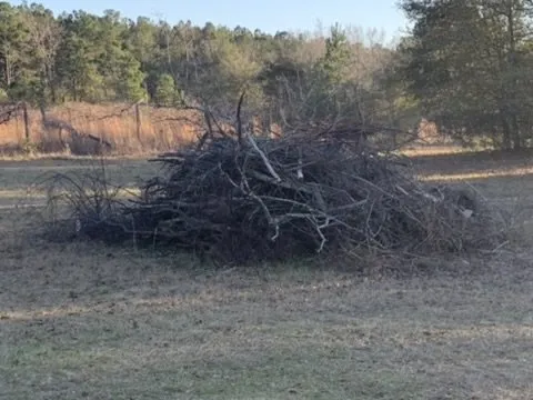 Professional outdoor landscaping experts serving Saint Matthews, SC - TimberWolfe Outdoors