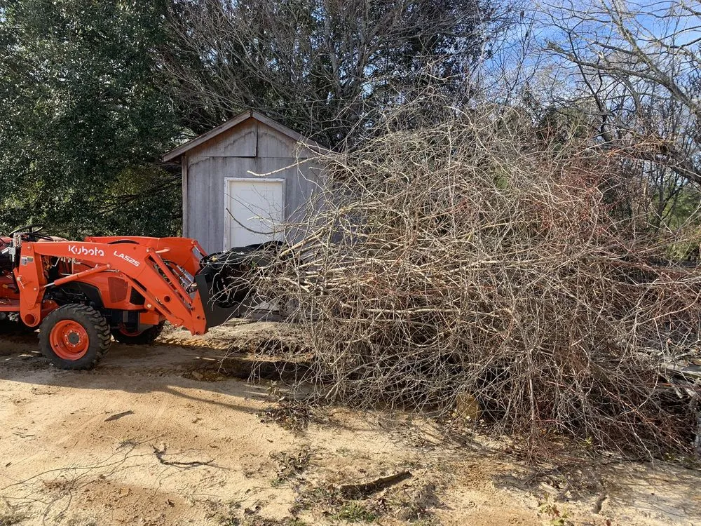 Custom lawn mowing service with custom design across Saint Matthews, SC - TimberWolfe Outdoors