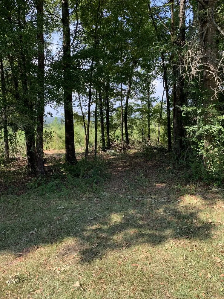 Professional landscape installation for year-round maintenance in Saint Matthews, SC by TimberWolfe Outdoors