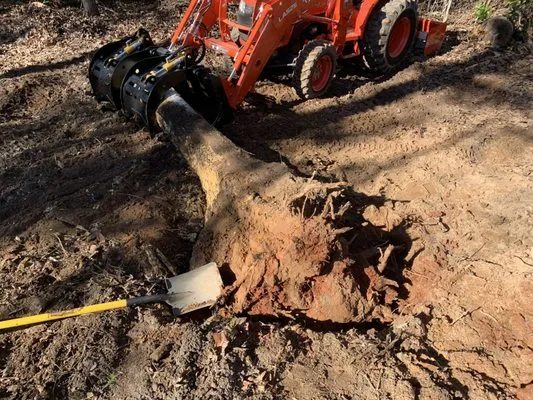 TimberWolfe Outdoors