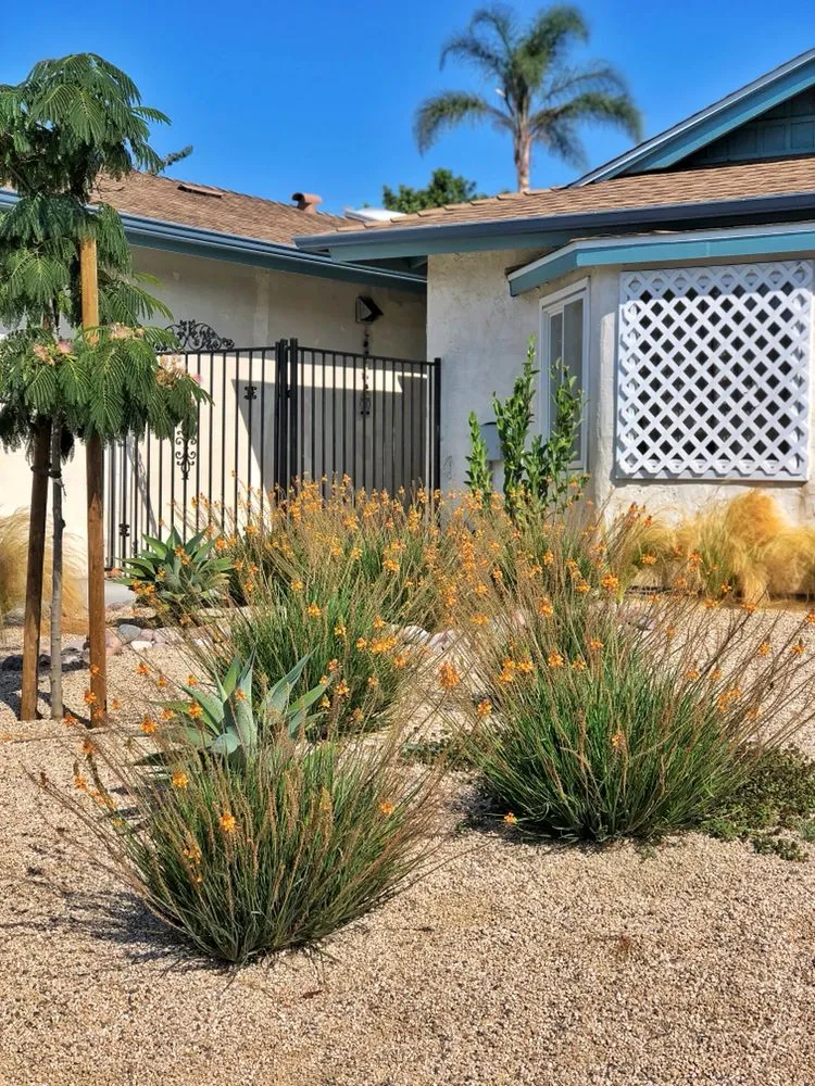 Reliable landscape design for residential properties across San Diego, CA - Timberwood Landscape