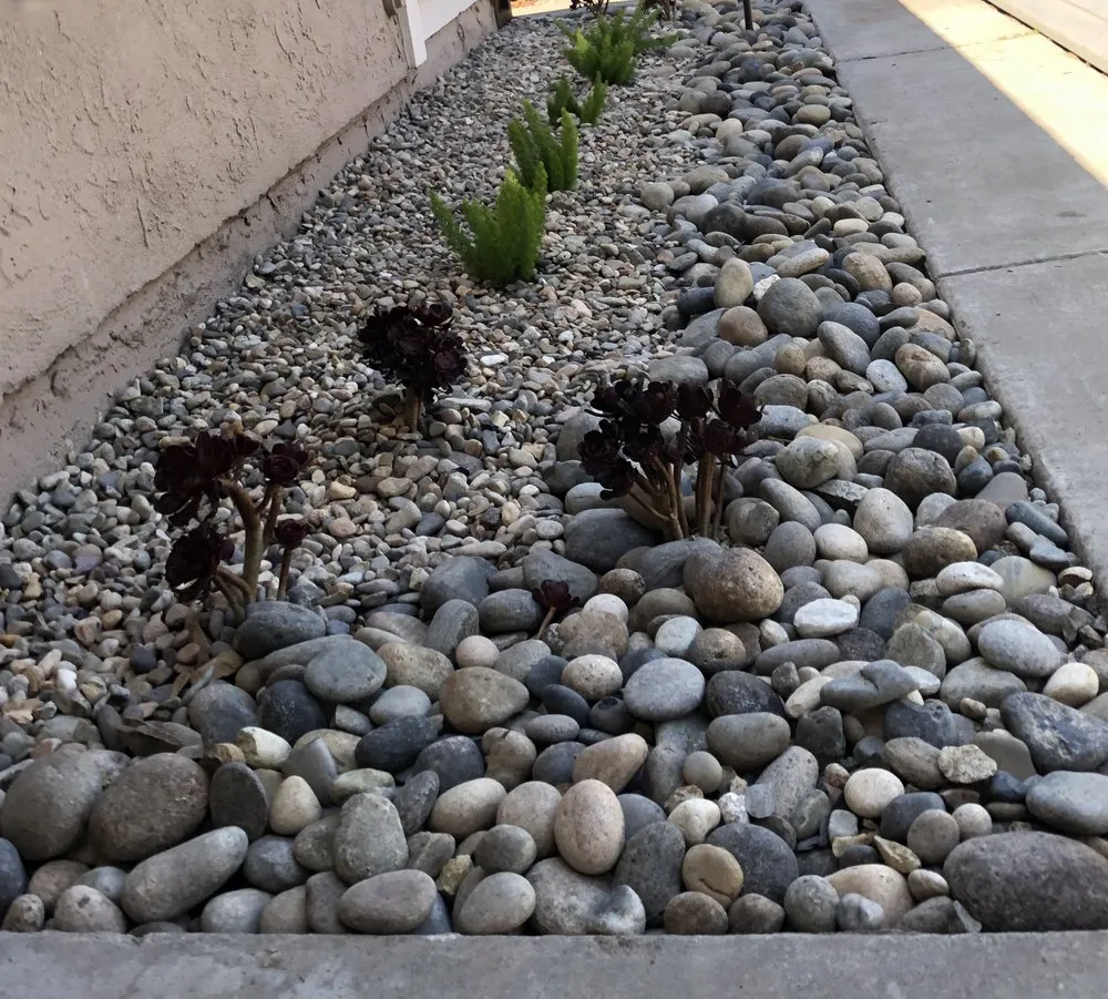 Expert landscape installation for year-round maintenance across San Diego, CA - Timberwood Landscape