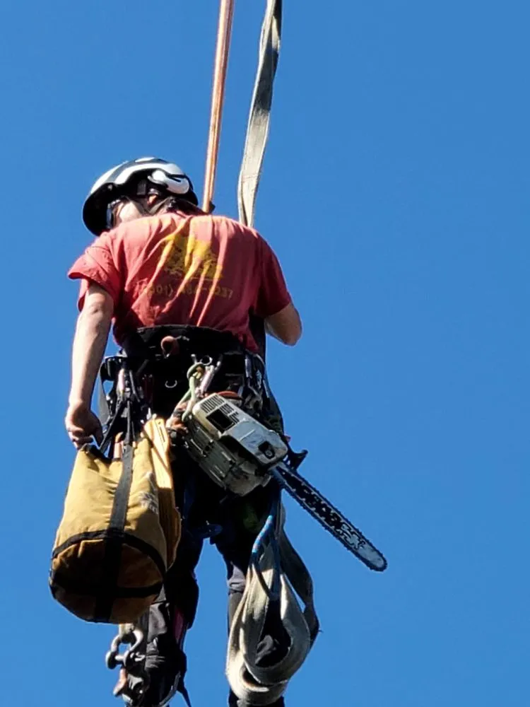 Custom lawn mowing service with custom design in Salt Lake City, UT by Timberworx