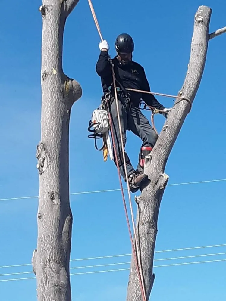 Top-rated landscaping services for beautiful yards across Salt Lake City, UT - Timberworx