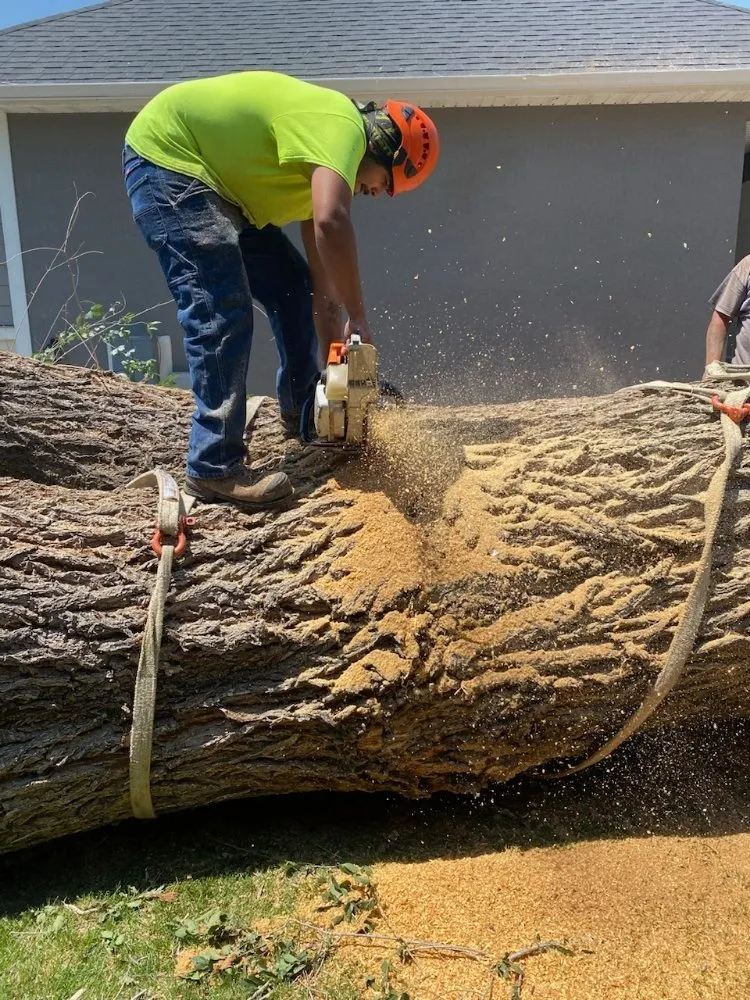 Trusted landscape installation in Salt Lake City, UT - Timberworx