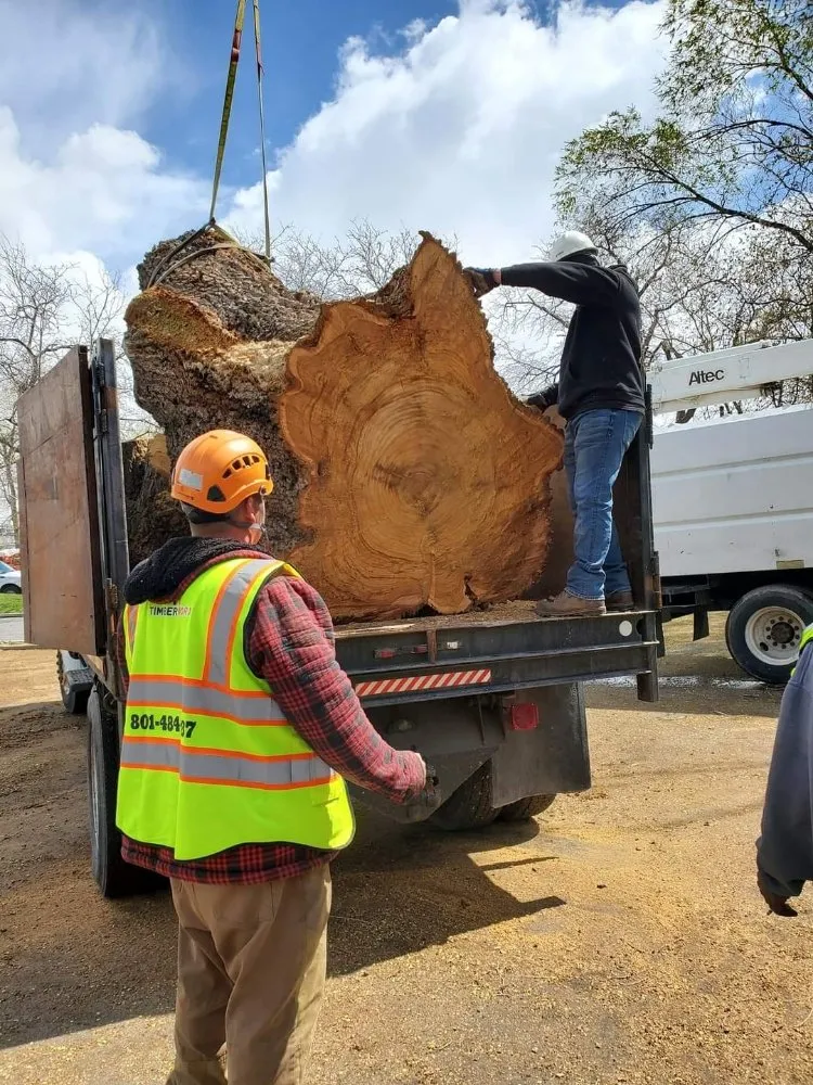 Professional landscape design experts serving Salt Lake City, UT - Timberworx