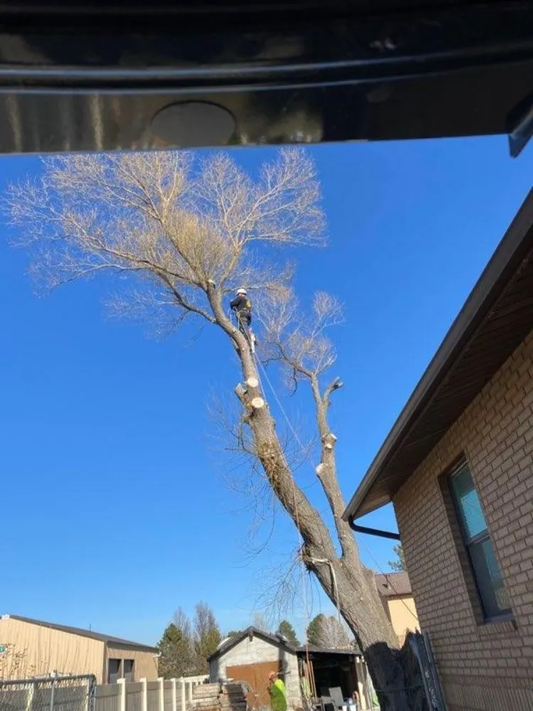 Professional garden landscaping in Salt Lake City, UT by Timberworx