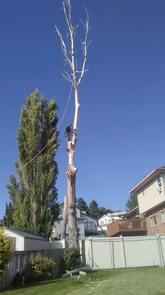 Expert lawn care service in Salt Lake City, UT - Timberworx