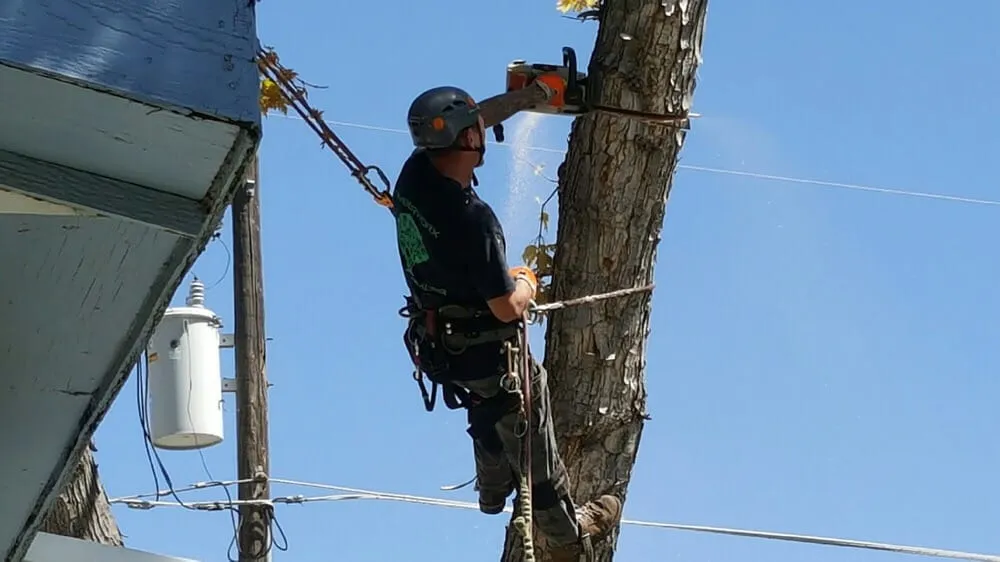 Top-rated residential landscaping with custom design across Salt Lake City, UT - Timberworx