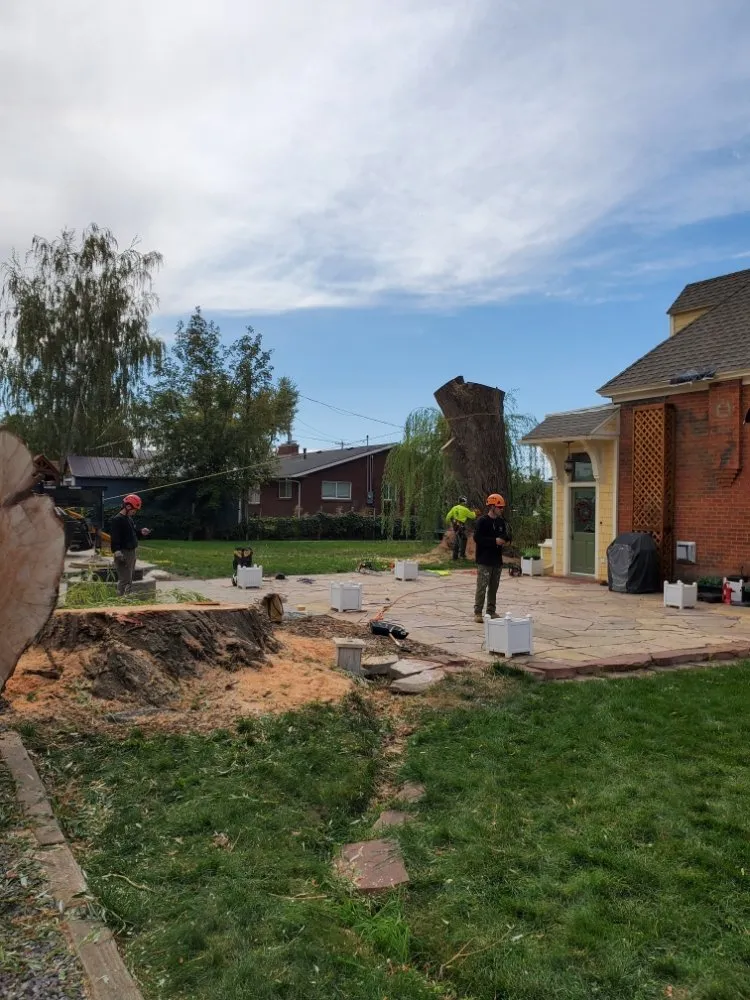 Affordable landscape design experts serving Salt Lake City, UT - Timberworx