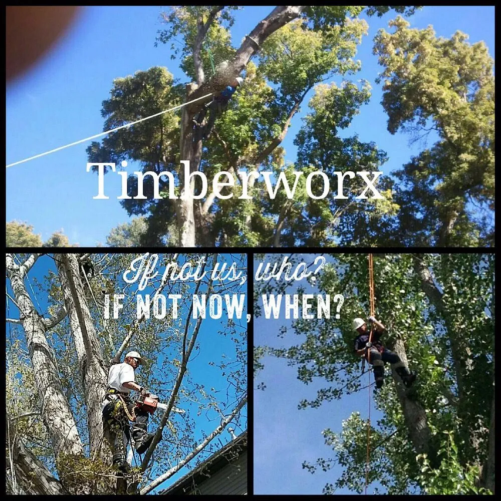 Affordable lawn care service experts serving Salt Lake City, UT - Timberworx