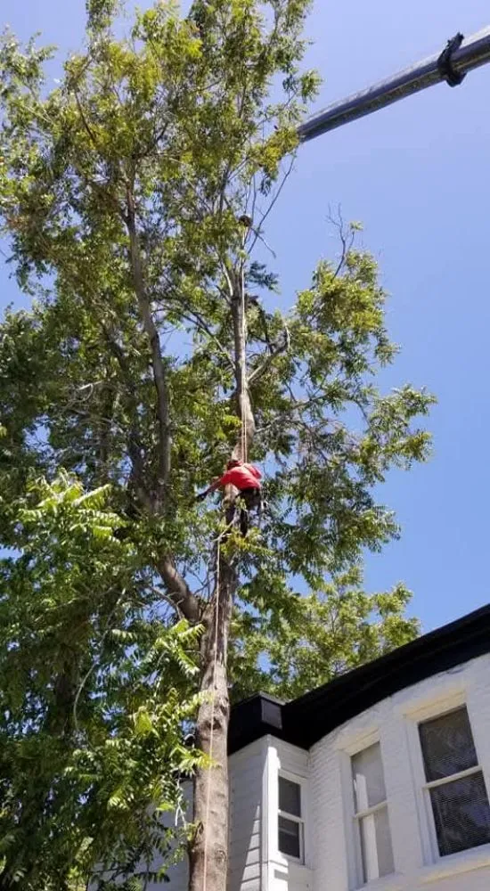 Trusted residential landscaping in Salt Lake City, UT by Timberworx