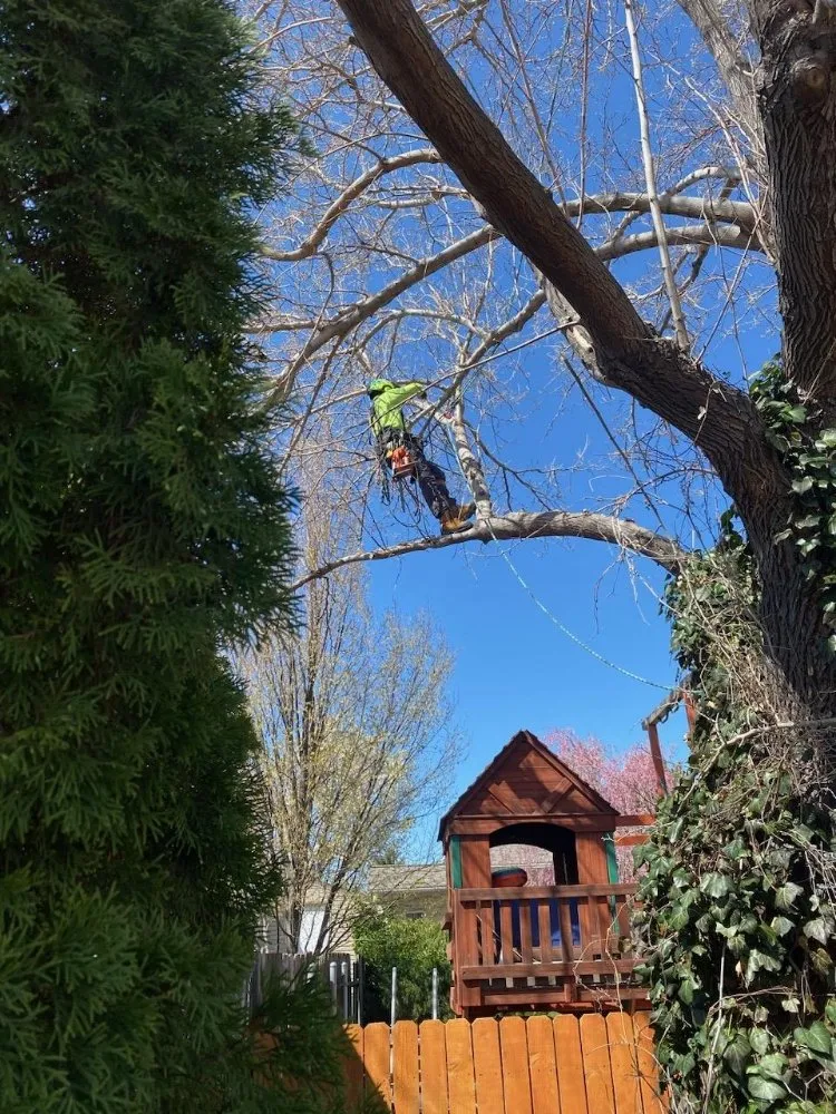 Affordable residential landscaping experts serving Salt Lake City, UT - Timberworx