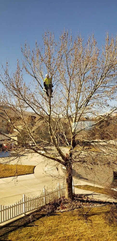 Trusted lawn mowing service with custom design across Salt Lake City, UT - Timberworx