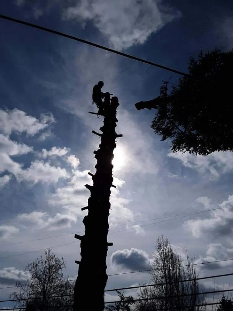 Local garden landscaping in Salt Lake City, UT by Timberworx