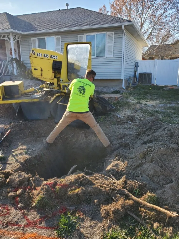 Top-rated landscaping services in Salt Lake City, UT - Timberworx