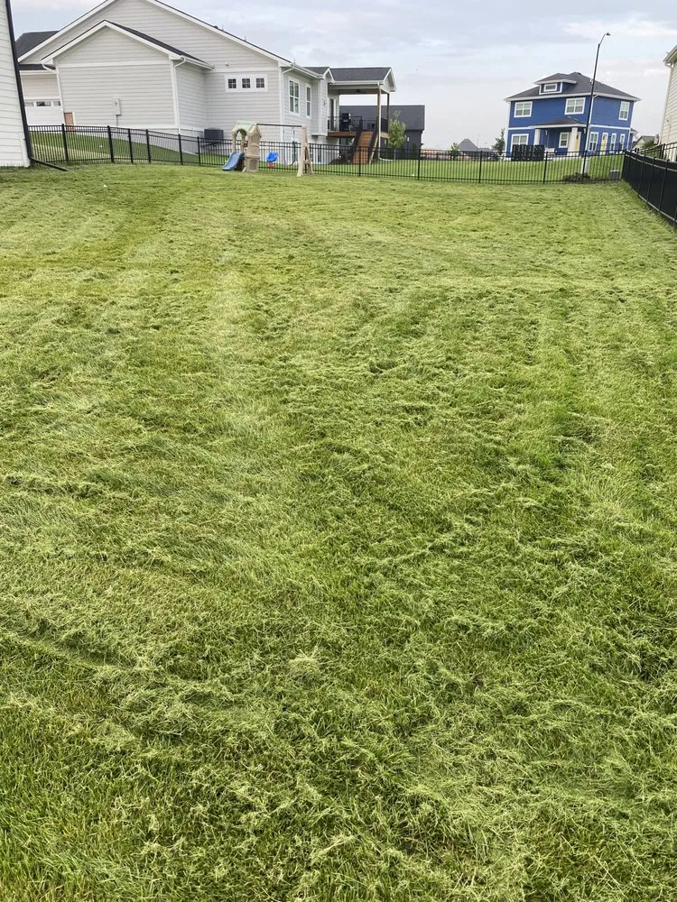 Reliable lawn mowing service experts serving Ankeny, IA - Timblins Cleaning and Hualing