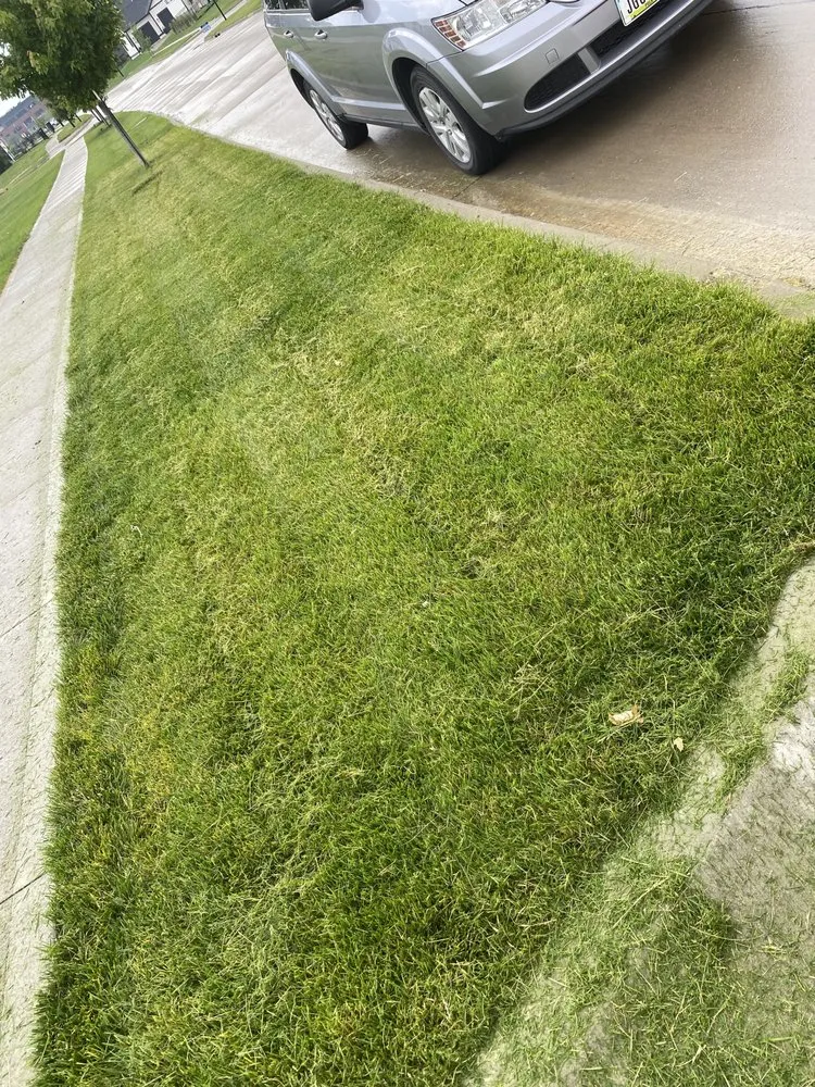 Trusted lawn care service experts serving Ankeny, IA - Timblins Cleaning and Hualing