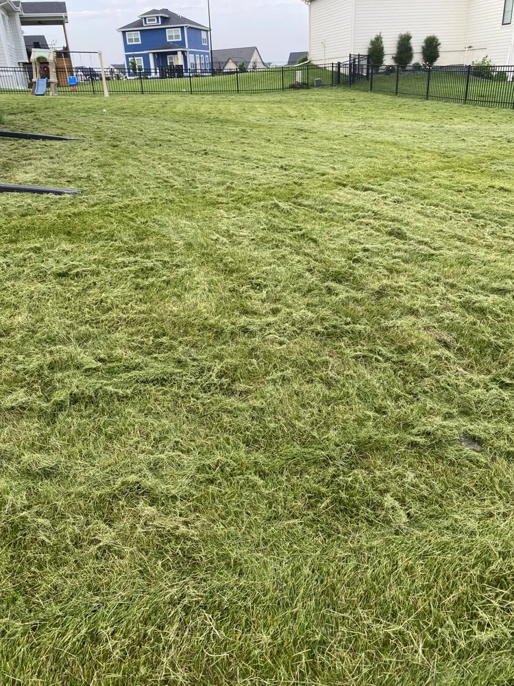 Professional outdoor landscaping in Ankeny, IA by Timblins Cleaning and Hualing