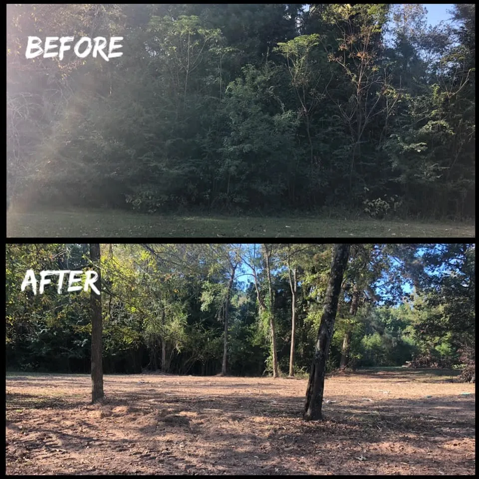 Professional landscape design in Kilgore, TX - TIMB'r Land Management