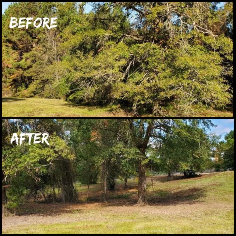 Professional landscape installation in Kilgore, TX - TIMB'r Land Management