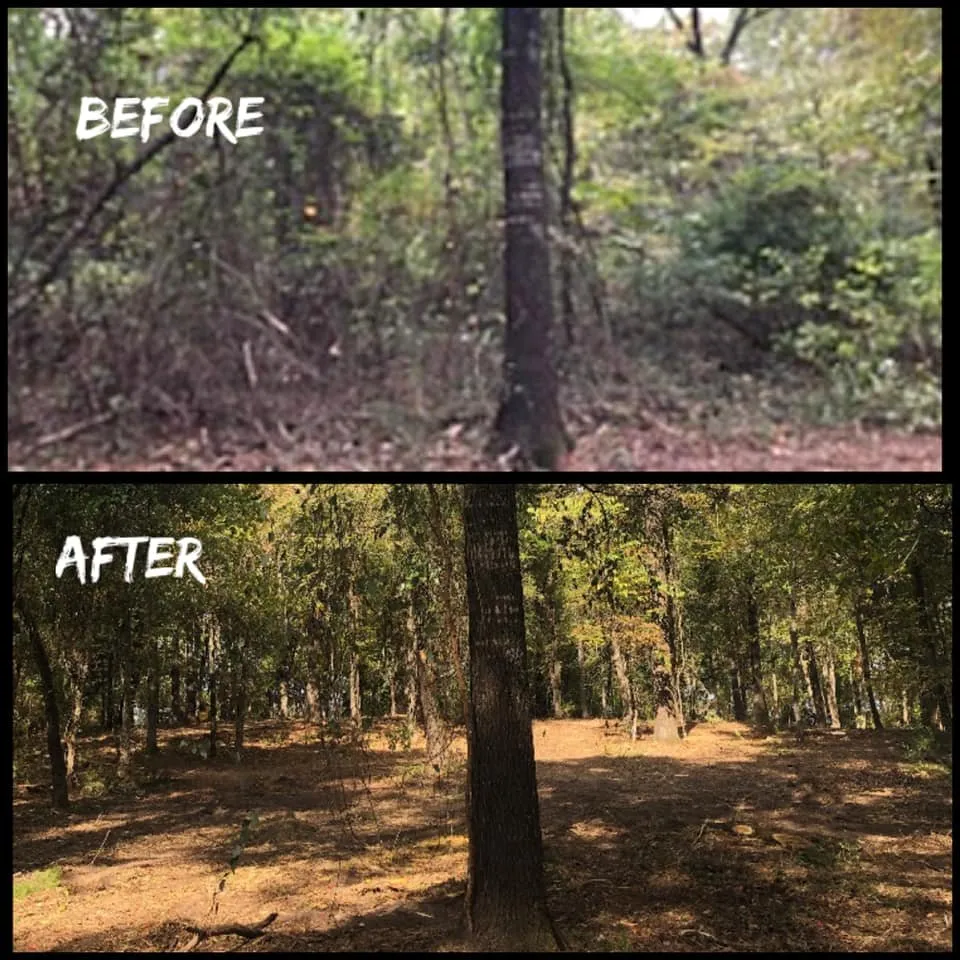 Top-rated residential landscaping for year-round maintenance in Kilgore, TX by TIMB'r Land Management