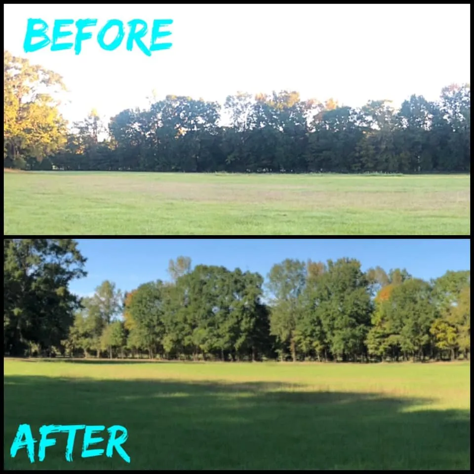 Reliable landscaping services experts serving Kilgore, TX - TIMB'r Land Management