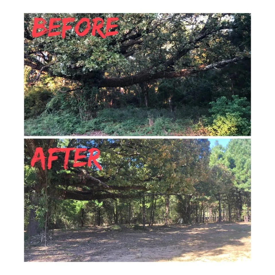 Custom lawn mowing service for outdoor upgrades across Kilgore, TX - TIMB'r Land Management