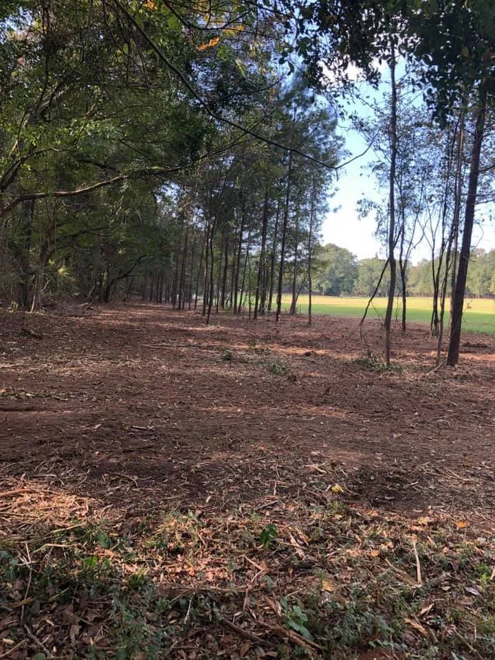 Affordable landscape installation in Kilgore, TX by TIMB'r Land Management