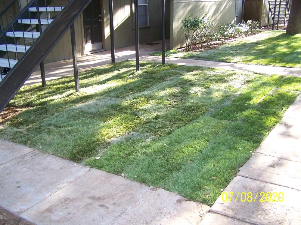Professional landscaping services for residential properties across Lubbock, TX - Timco Services