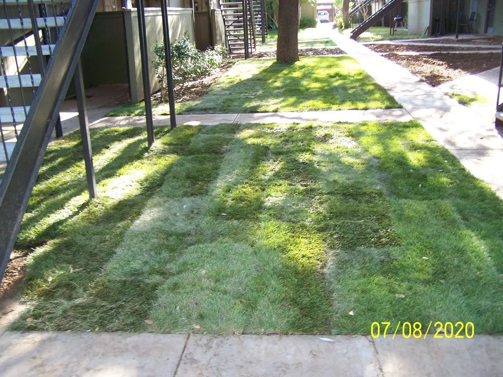 Affordable landscape design for outdoor upgrades across Lubbock, TX - Timco Services