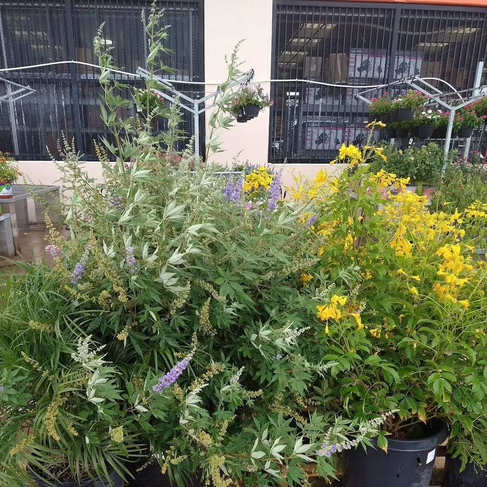 Custom landscape design for outdoor upgrades in Lubbock, TX by Timco Services