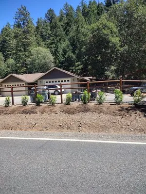 Time Flies Landscape Maintenance Logo